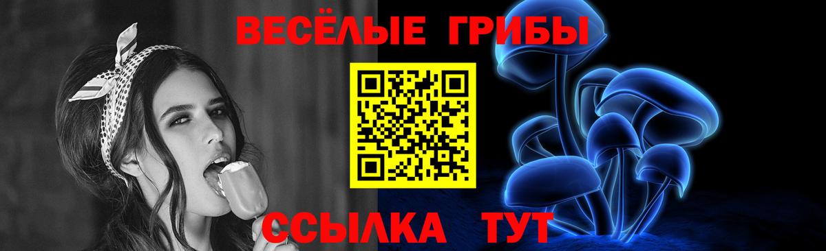 Гагарин  Галлюциногенные грибы Psilocybe  Вход с VPN 